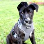 Ersteller:in Pia Profilbild