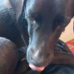 Ersteller:in Mara Profilbild