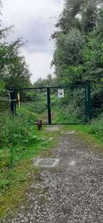 Hundeauslaufgebiet-Almagelände-Bild