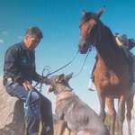 Ersteller:in Berthold Profilbild