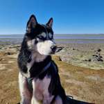 Ersteller:in Melanie Profilbild