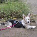 Ersteller:in Marina Profilbild