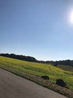 Hundeauslaufgebiet-Übungsplatz Bundeswehr Bruchsal-Bild