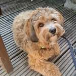 Ersteller:in Nicole Profilbild