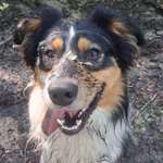 Ersteller:in Franzi Profilbild