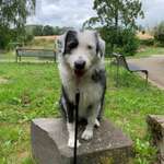 Ersteller:in Stefanie Profilbild