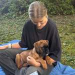 Ersteller:in Noémie Profilbild