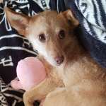 Ersteller:in Ellie Profilbild