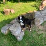 Ersteller:in Georg Profilbild