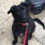 Ersteller:in Egle Profilbild