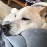 Ersteller:in Elke Profilbild