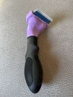 Furminator und Softbürste für kleine Hunde-Beitrag-Bild