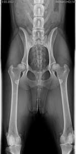 HD-Grad dieser Hüfte-Beitrag-Bild