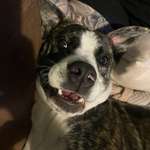 Ersteller:in Jannik Profilbild