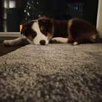 Ersteller:in Gina Profilbild