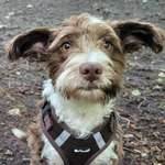 Ersteller:in Judith Profilbild