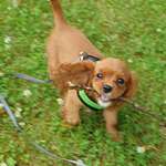 Ersteller:in Angie Profilbild