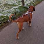 Ersteller:in Romy Profilbild