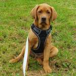 Ersteller:in Thorsten Profilbild