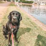 Ersteller:in Timo Profilbild