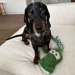 Ersteller:in Maximilian Profilbild