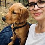 Ersteller:in Olga Profilbild