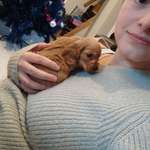 Ersteller:in Theresa Profilbild