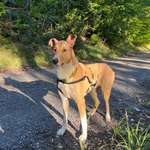 Ersteller:in Deborah Profilbild