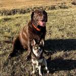 Ersteller:in Jessica Profilbild