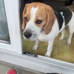 Ersteller:in Annette Profilbild