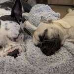 Ersteller:in Sandy Profilbild