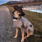 Ersteller:in Selin Profilbild