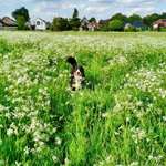 Ersteller:in Ben Profilbild