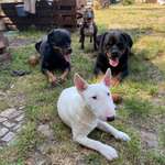 Ersteller:in Christine Profilbild