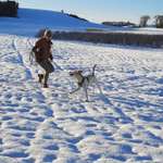 Ersteller:in Katharina Profilbild