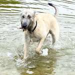 Ersteller:in Anja Profilbild