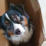 Ersteller:in Christina Profilbild