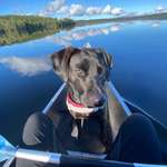 Ersteller:in Janina Profilbild