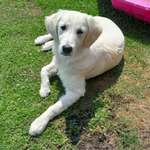 Ersteller:in Jutta Profilbild