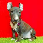 Ersteller:in Valeria Profilbild