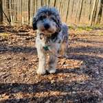 Ersteller:in Bernd Profilbild