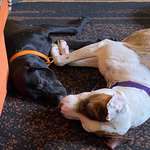 Ersteller:in Francis Profilbild