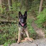 Ersteller:in Schlabber Profilbild