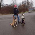 Ersteller:in Anna Profilbild