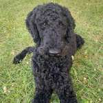 Ersteller:in Leonie Profilbild