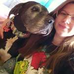 Ersteller:in Petra Profilbild