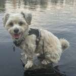 Ersteller:in Ruth Profilbild