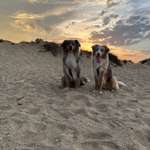 Ersteller:in Marina Profilbild