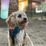 Ersteller:in Amelia Profilbild