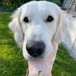 Ersteller:in Frieda Profilbild